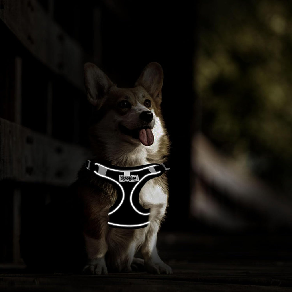 RAFIYU Mesh Dog Harness, Collar and Lead Set