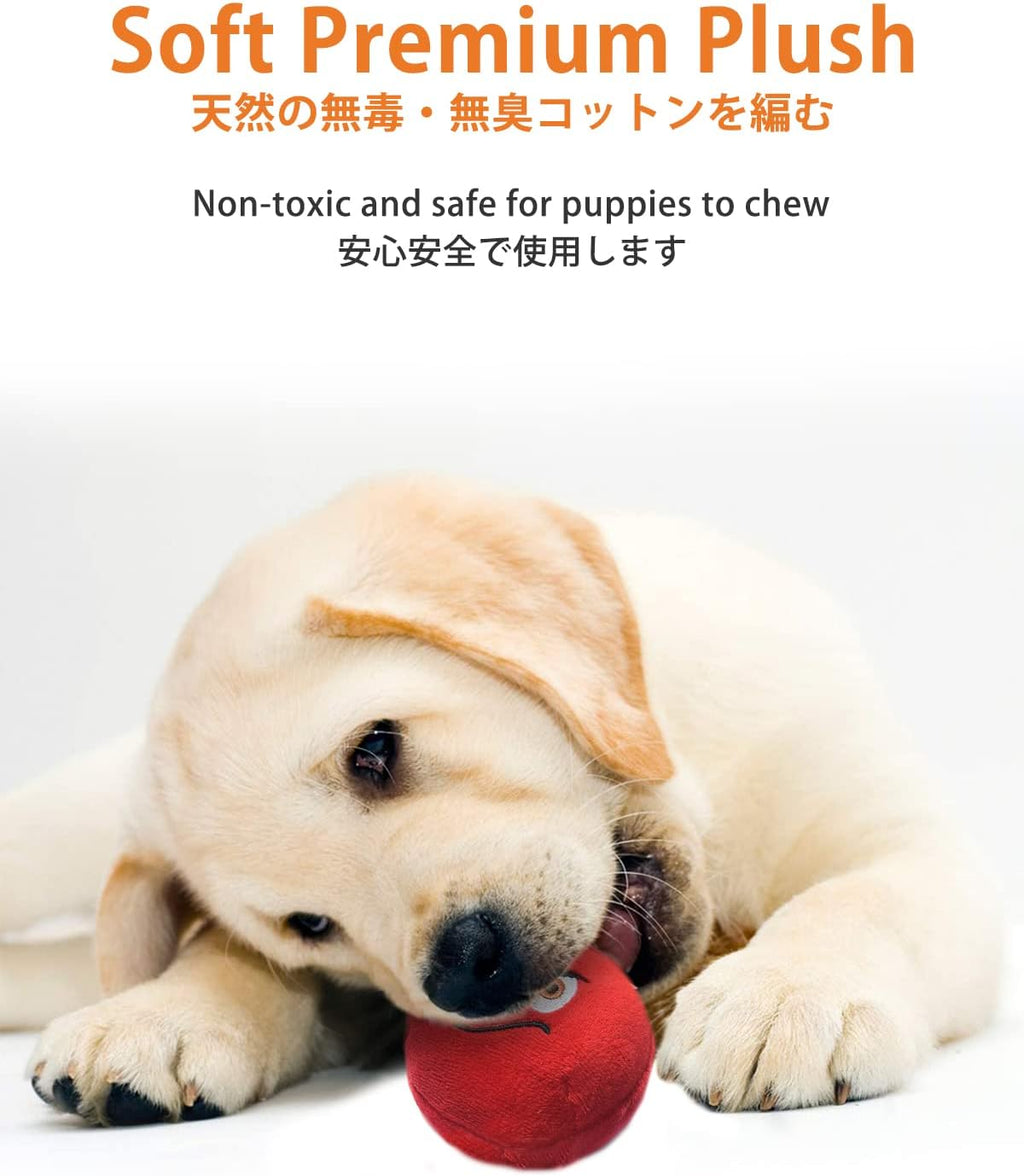 TONGKTAI Squeaky Plush Ball Toys for Small Dogs
