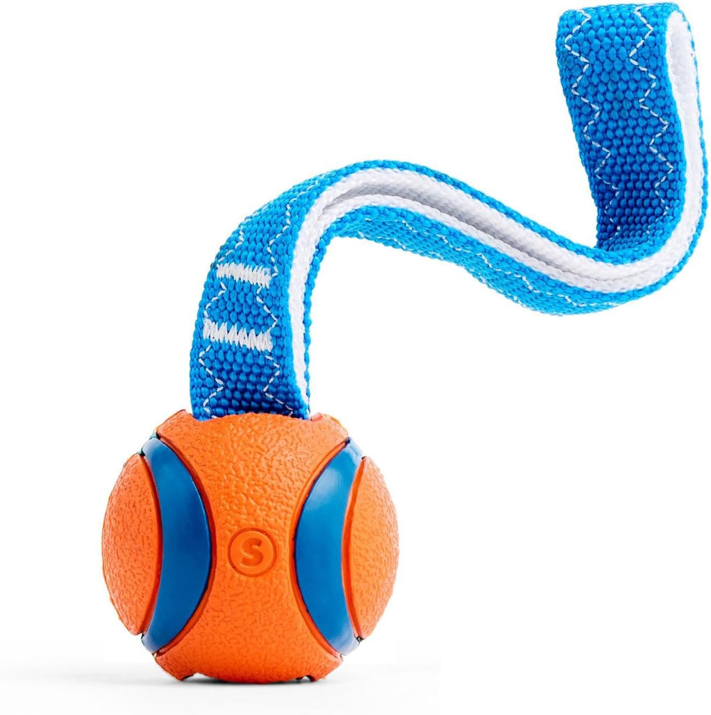 Chuckit! Ultra Tug Dog Toy