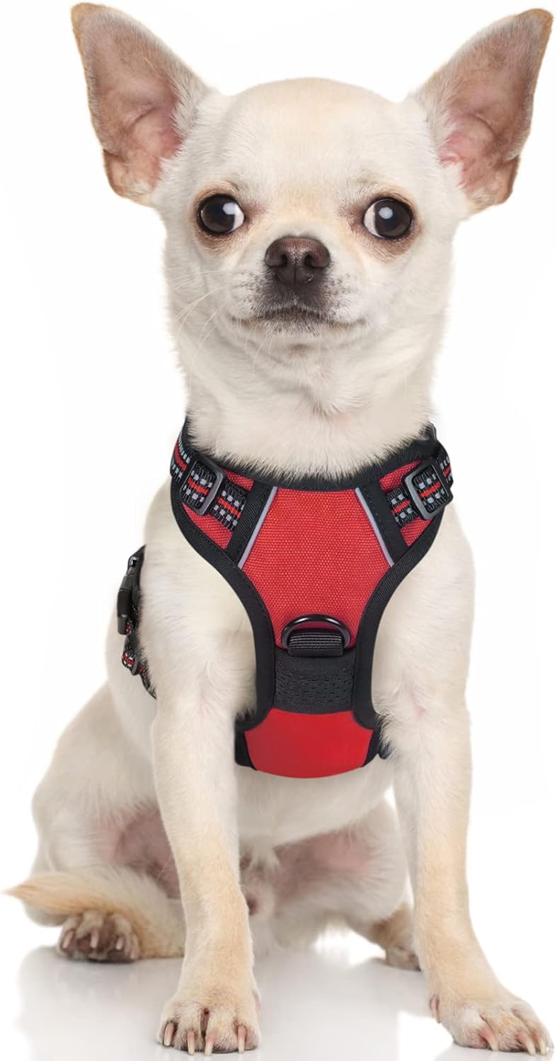 rabbitgoo Padded Dog Harness with Two Lead Clips