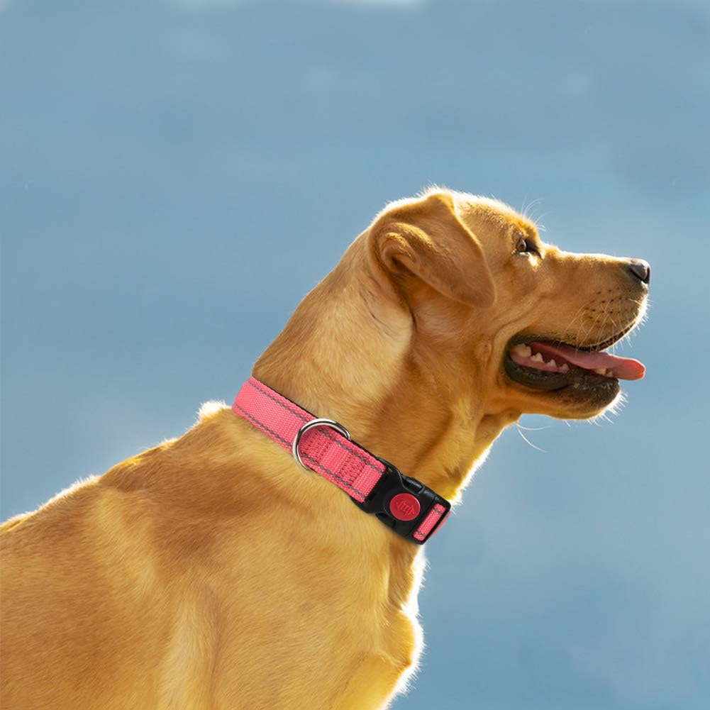 Taglory Reflective Nylon Dog Collar