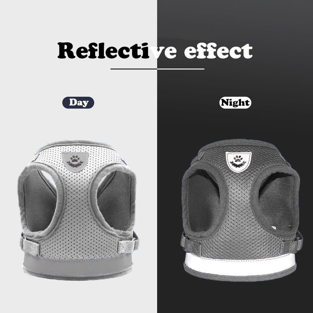 Anlitent Mesh Pet Harness and Lead Set