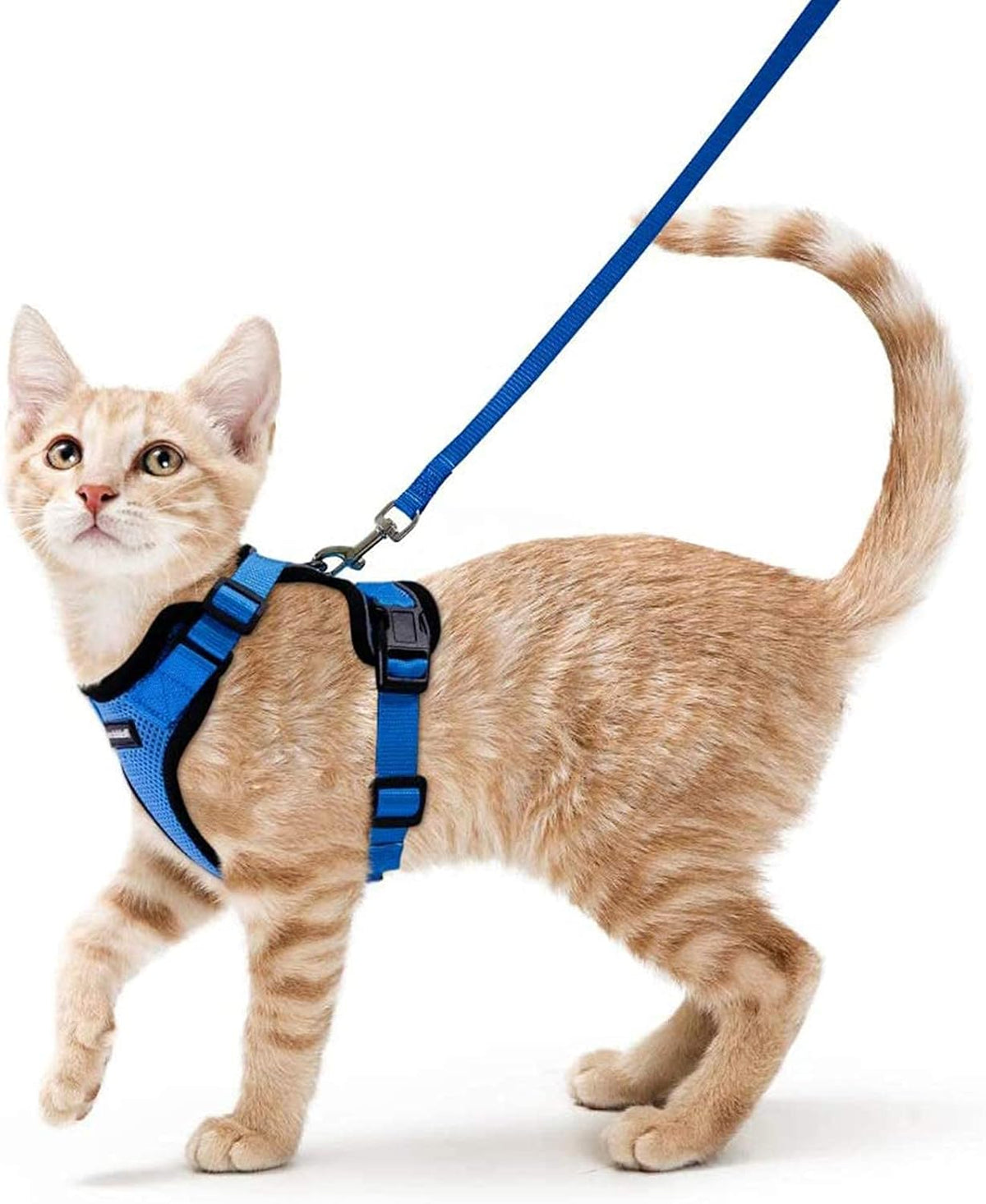 rabbitgoo Adjustable Cat Harness and Lead Set