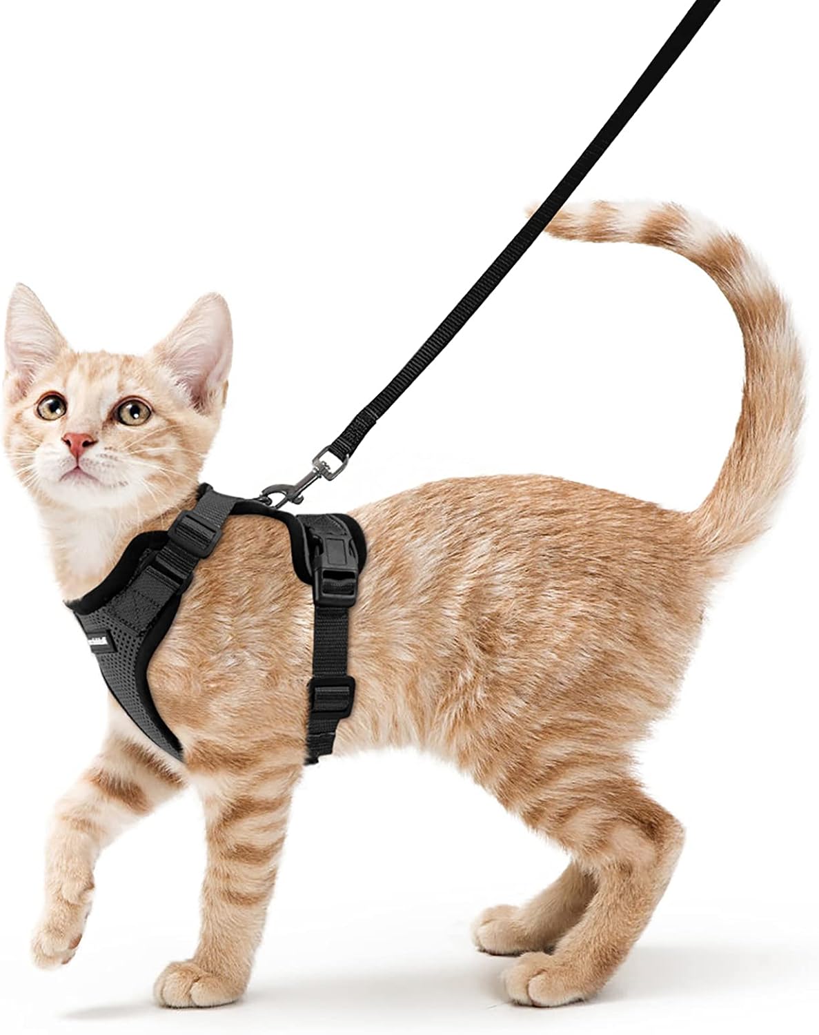 rabbitgoo Adjustable Cat Harness and Lead Set