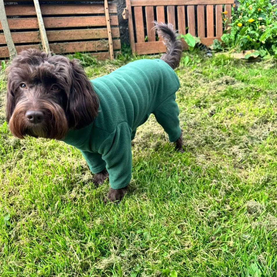 Four-Legged Fleece Dog Suit