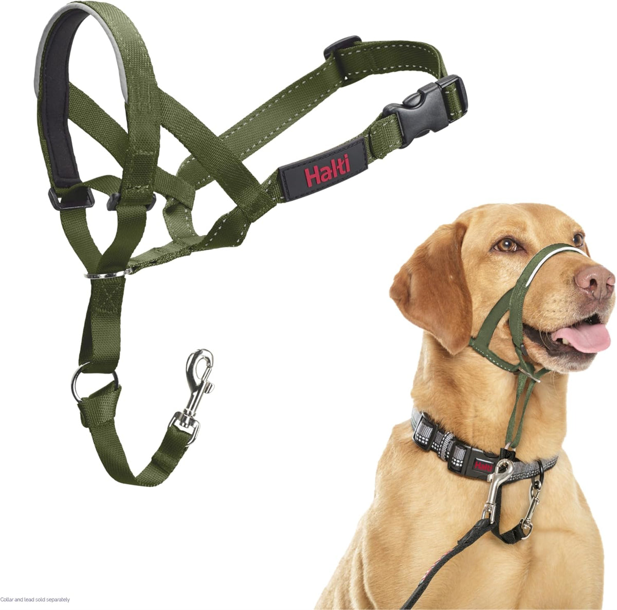 HALTI Adjustable Dog Headcollar