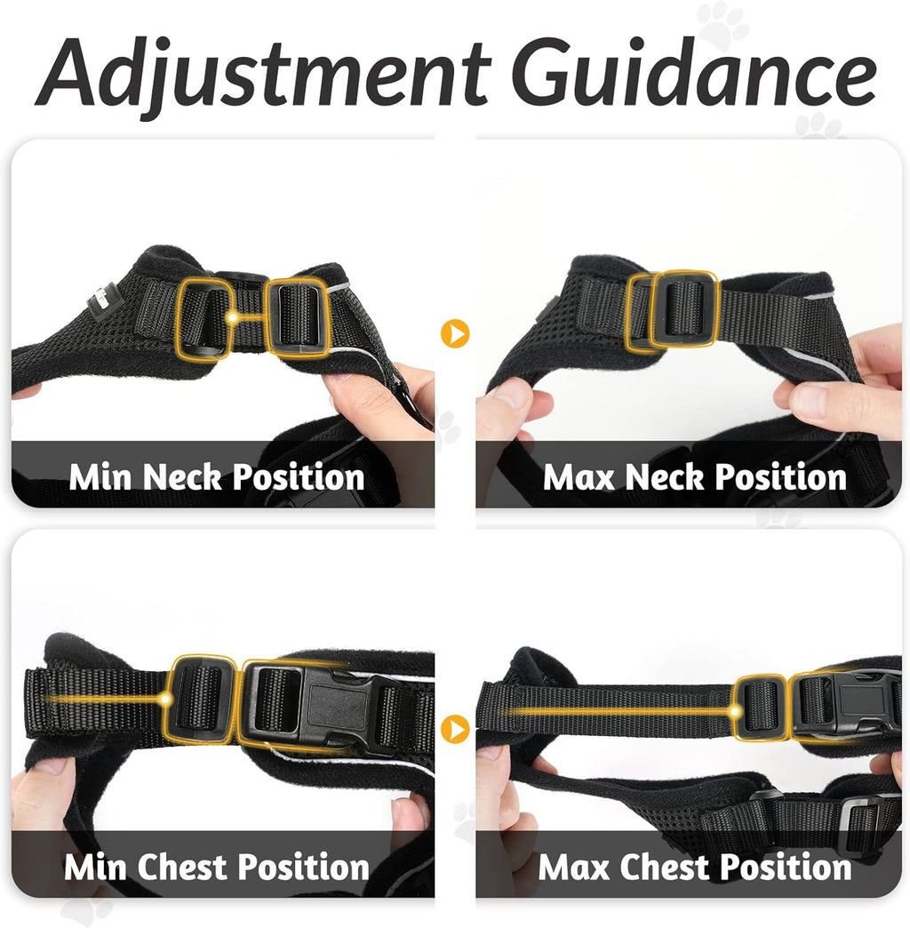 rabbitgoo Adjustable Cat Harness and Lead Set