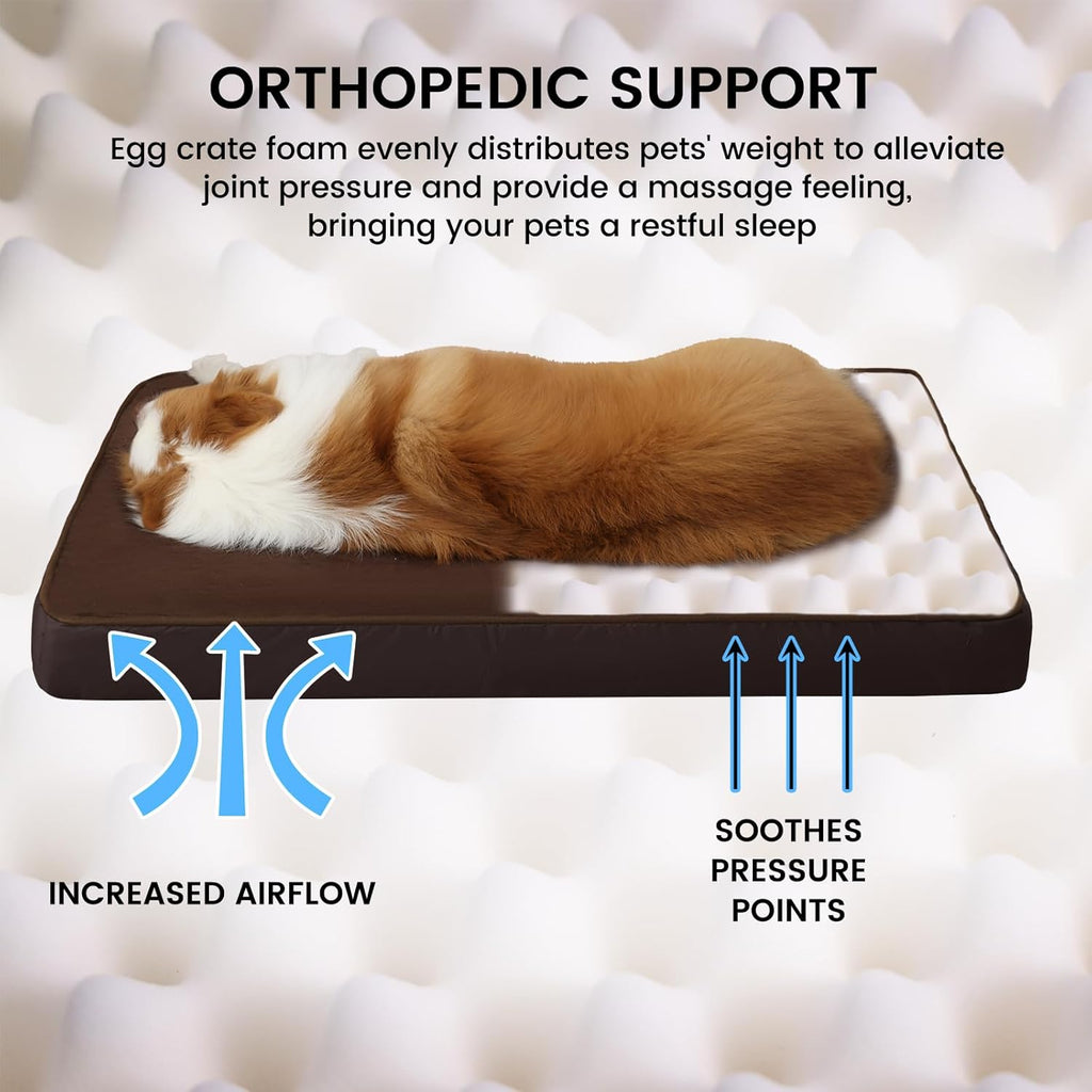 Jaspuriea Foam Dog Bed with Removable Cover