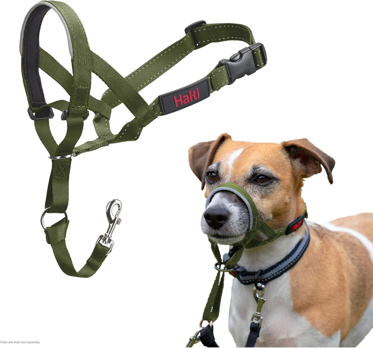 HALTI Adjustable Dog Headcollar