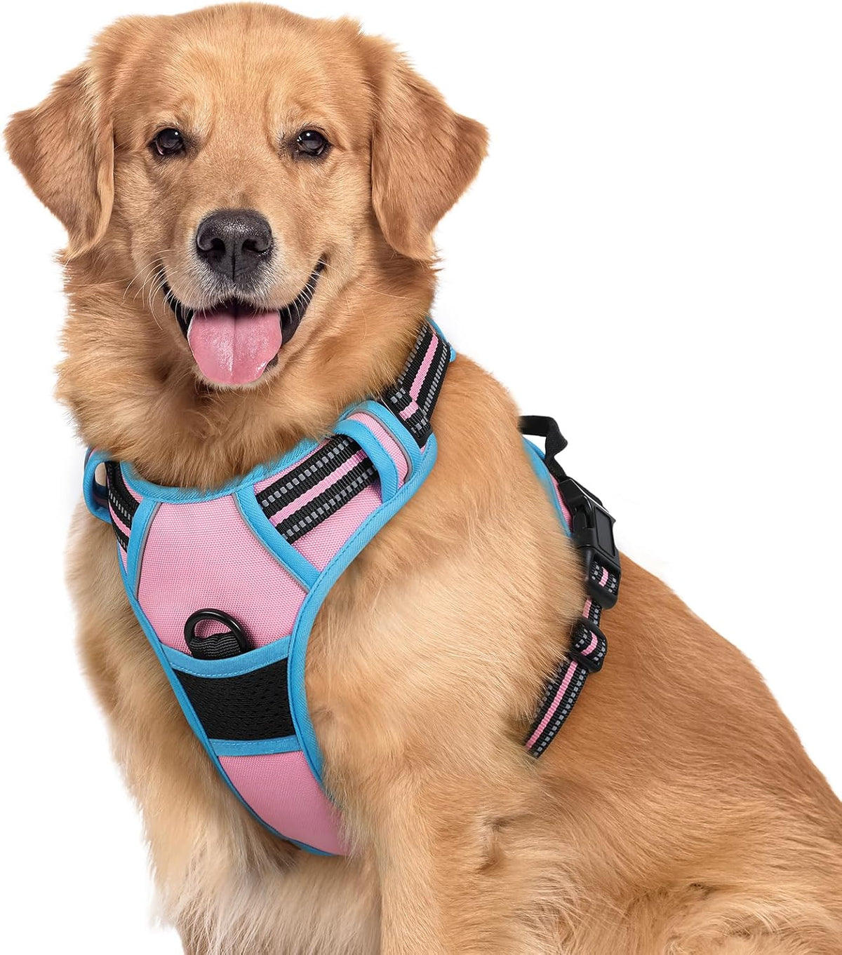rabbitgoo Padded Dog Harness with Two Lead Clips