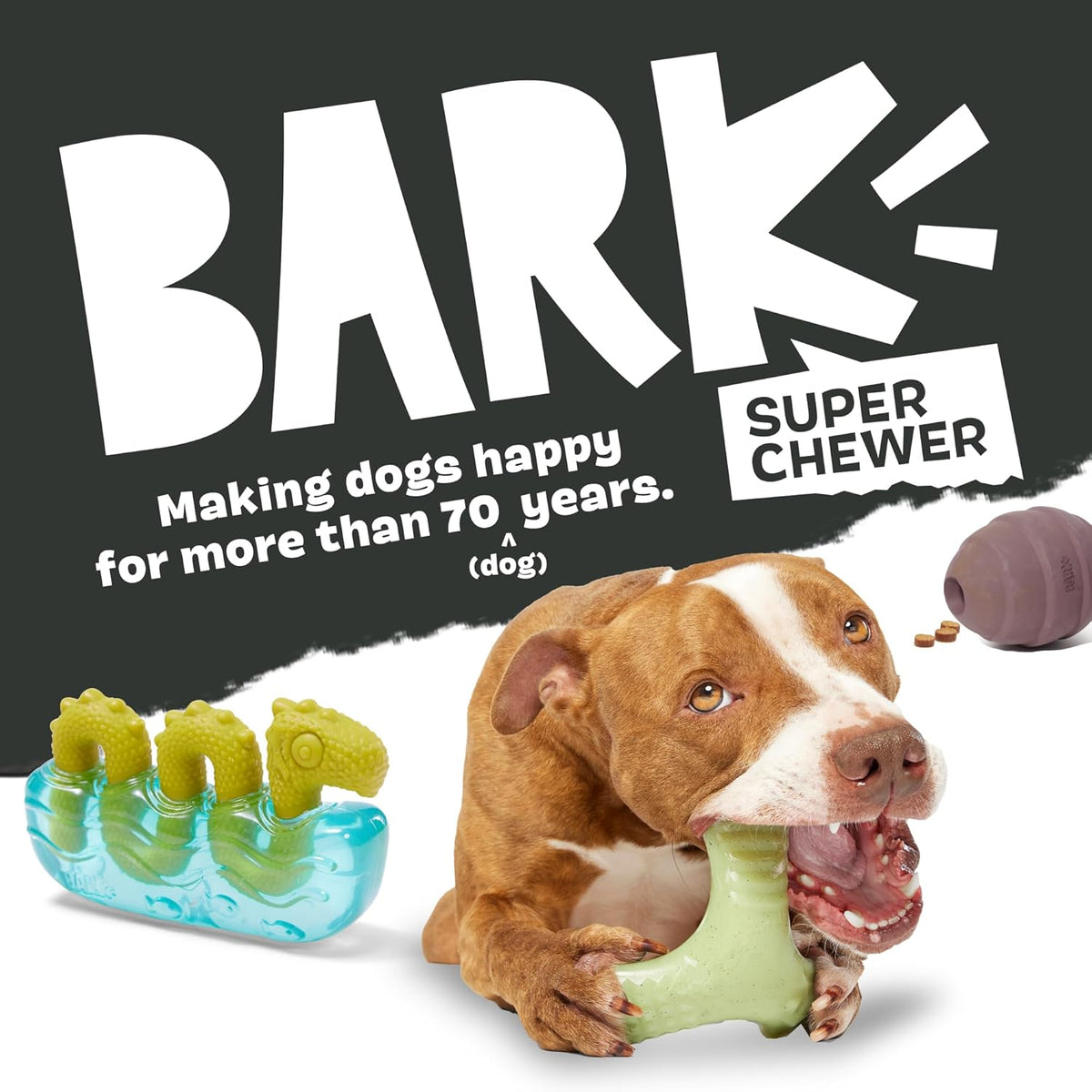 BarkBox Squeaky Plush Dog Toys