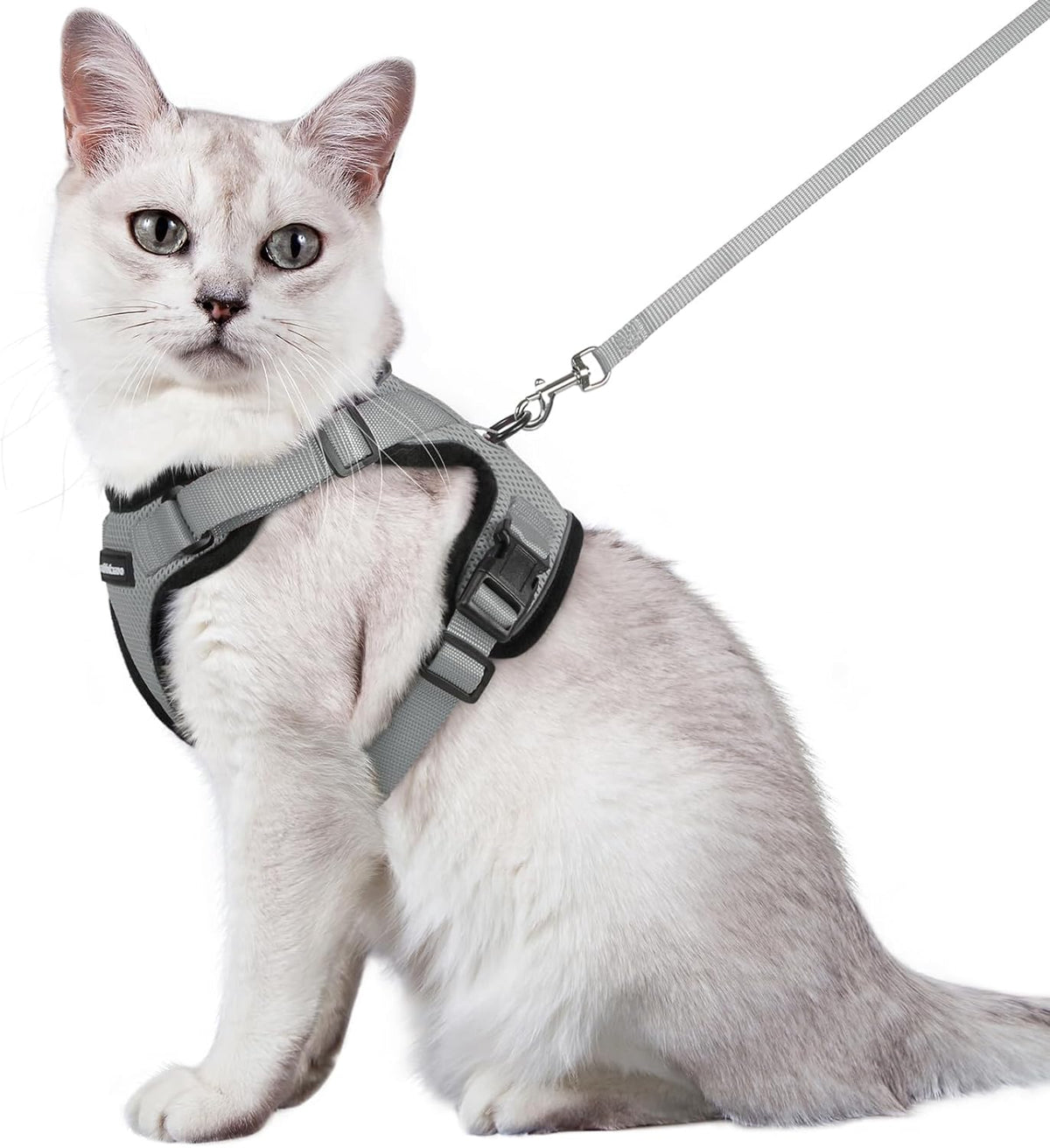 rabbitgoo Adjustable Cat Harness and Lead Set