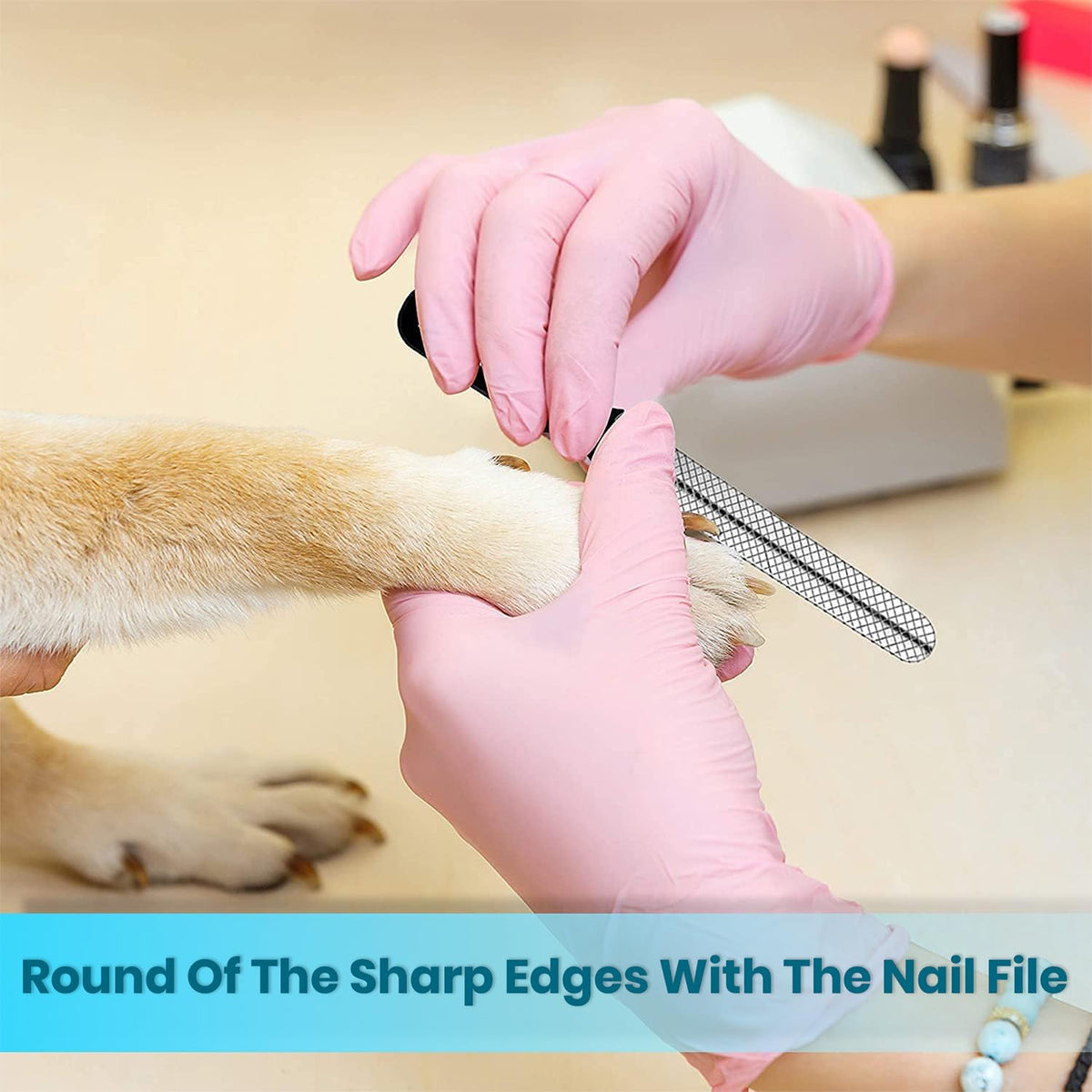 Candure Pet Nail Clippers with Guard