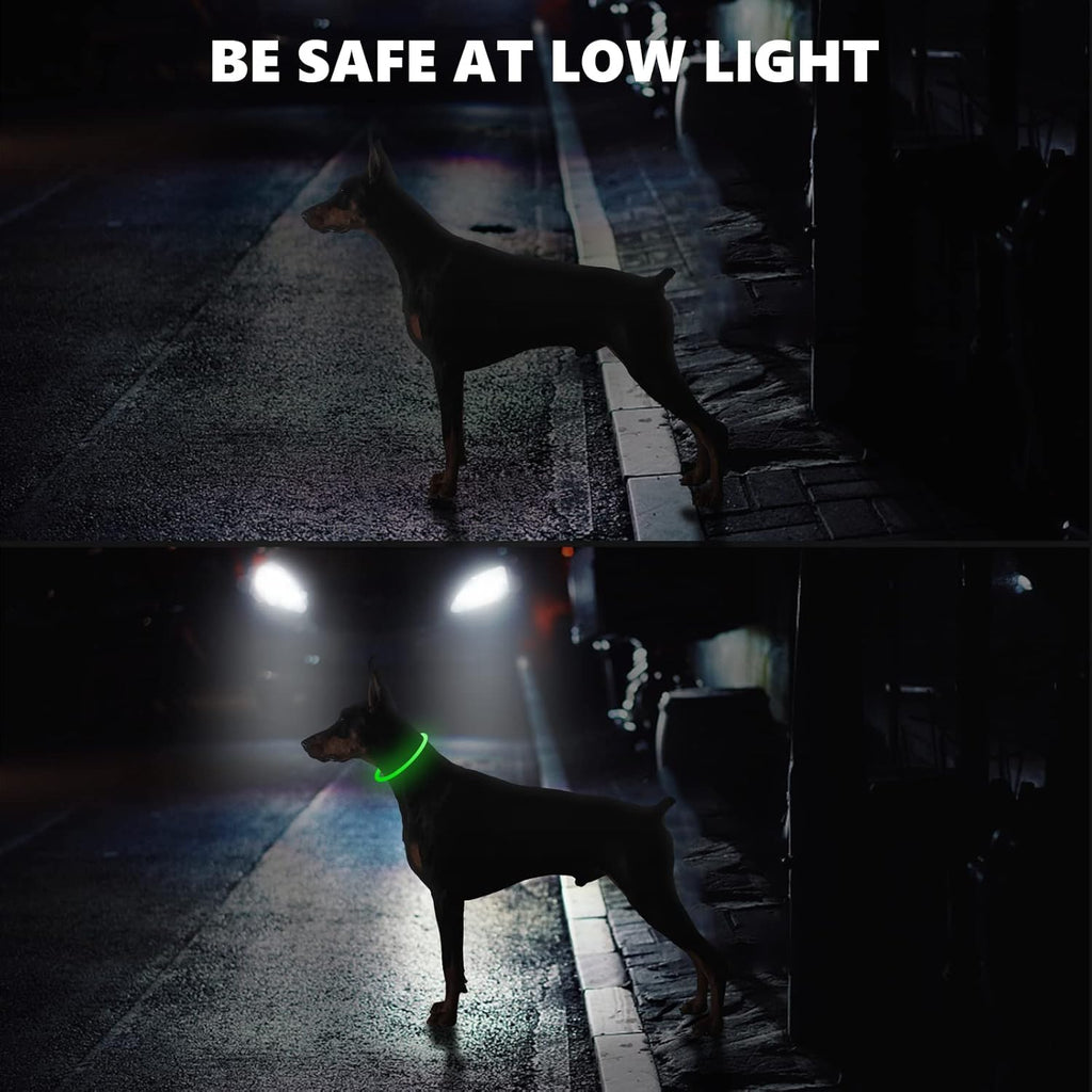 SerDa-Run Light-Up Dog Collar