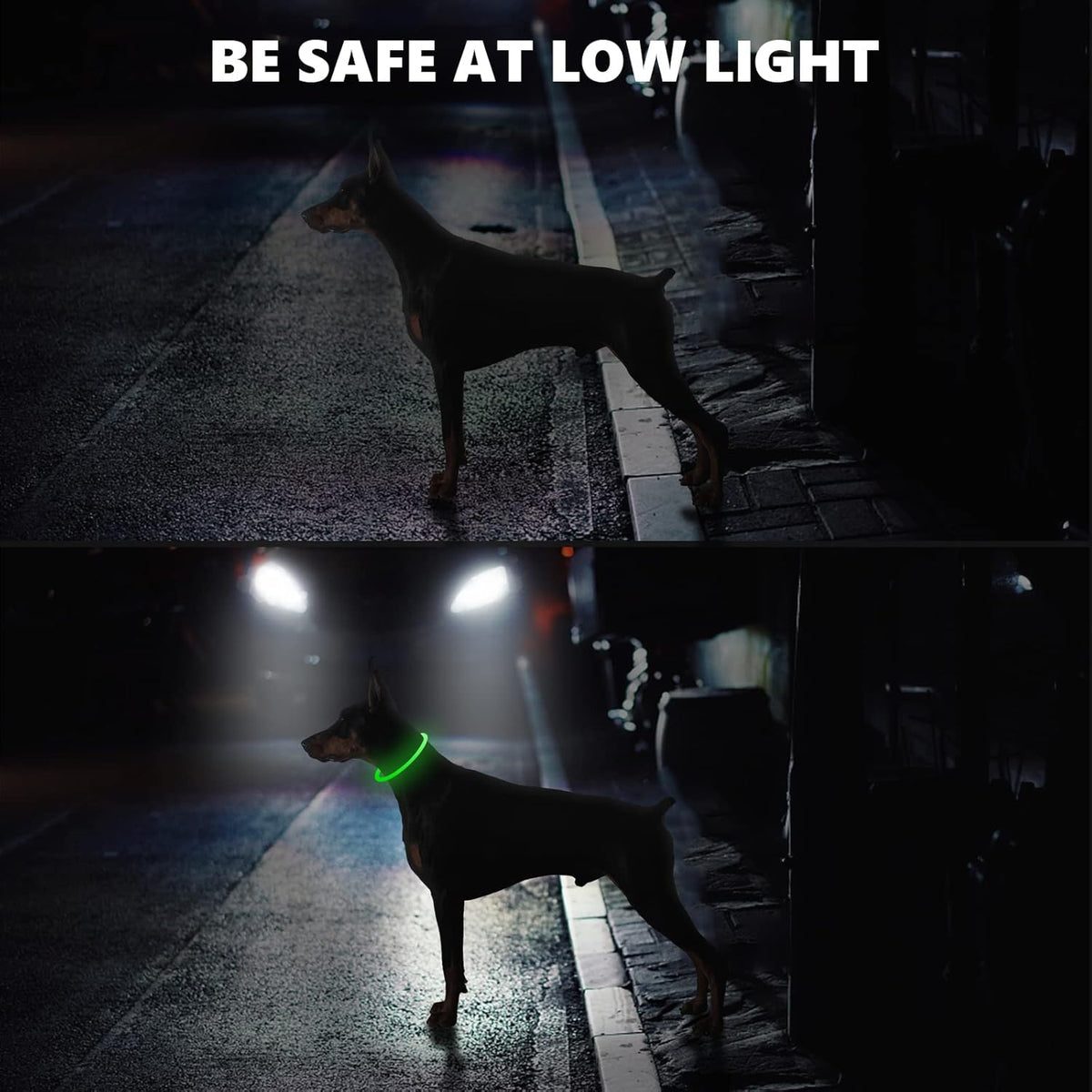 SerDa-Run Light-Up Dog Collar
