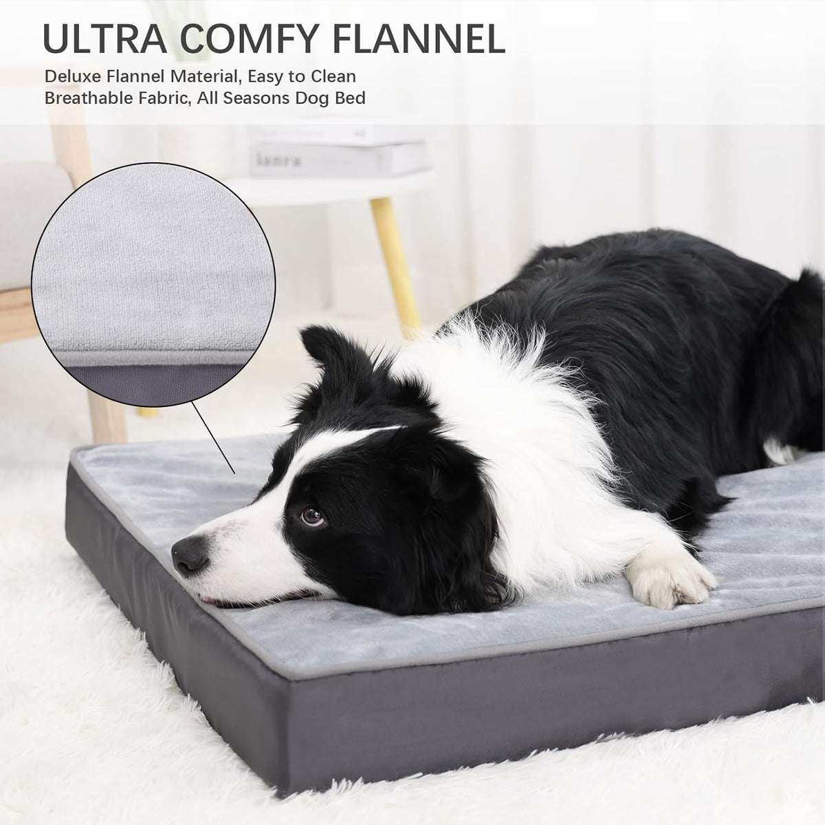 Jaspuriea Foam Dog Bed with Removable Cover