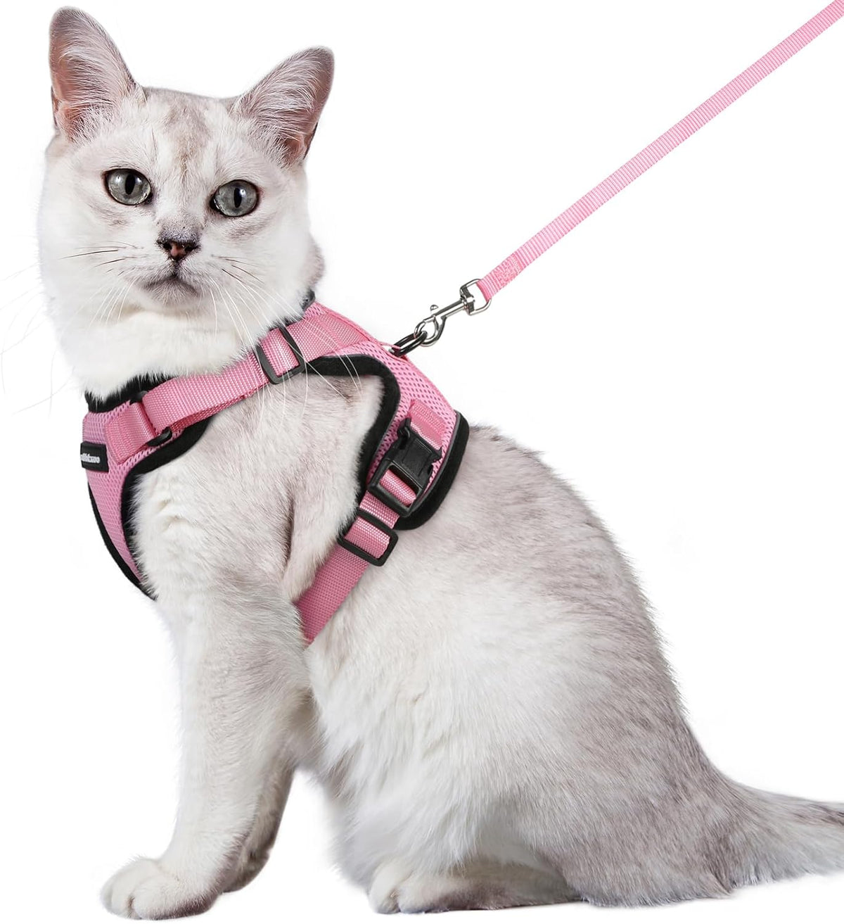 rabbitgoo Adjustable Cat Harness and Lead Set