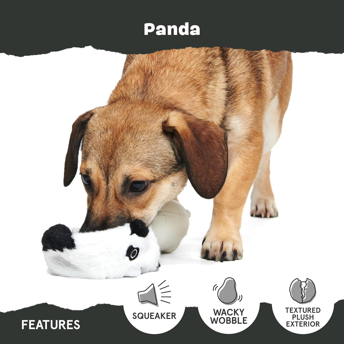 BarkBox Squeaky Plush Dog Toys