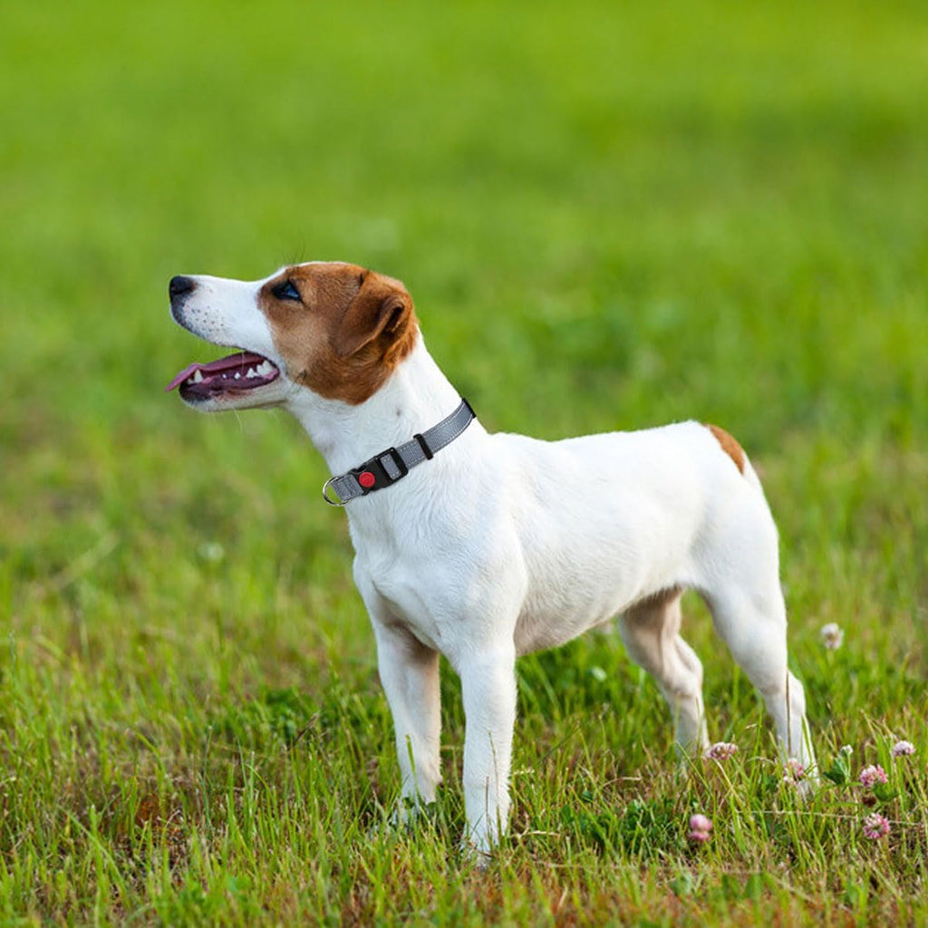 Taglory Reflective Nylon Dog Collar