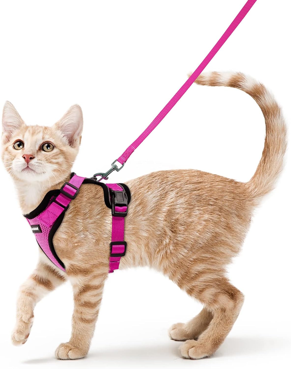 rabbitgoo Adjustable Cat Harness and Lead Set