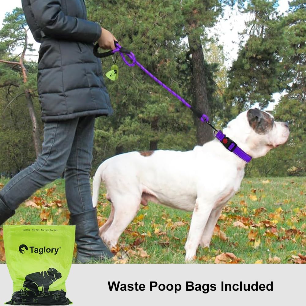 Taglory Rope Dog Lead with Padded Handle