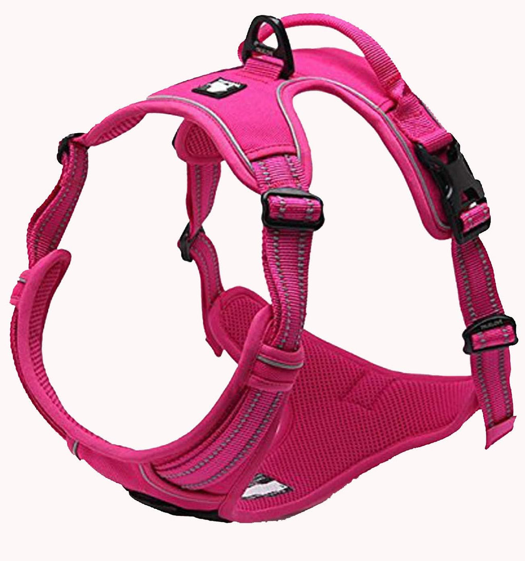 TrueLove TLH5651 Reflective Dog Harness