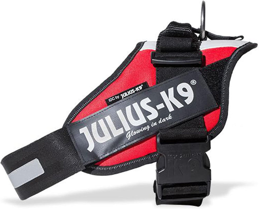 Julius-K9 IDC Powerharness for Small Dogs