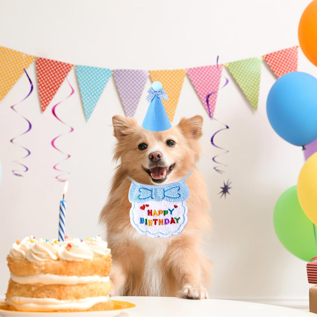 Pet Birthday Hat and Bandana Set