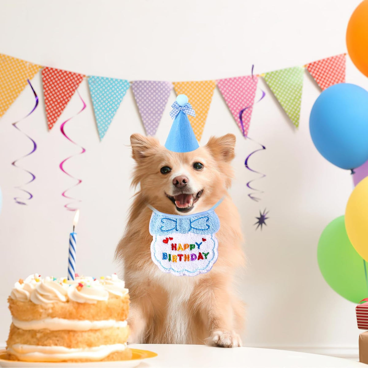 Pet Birthday Hat and Bandana Set