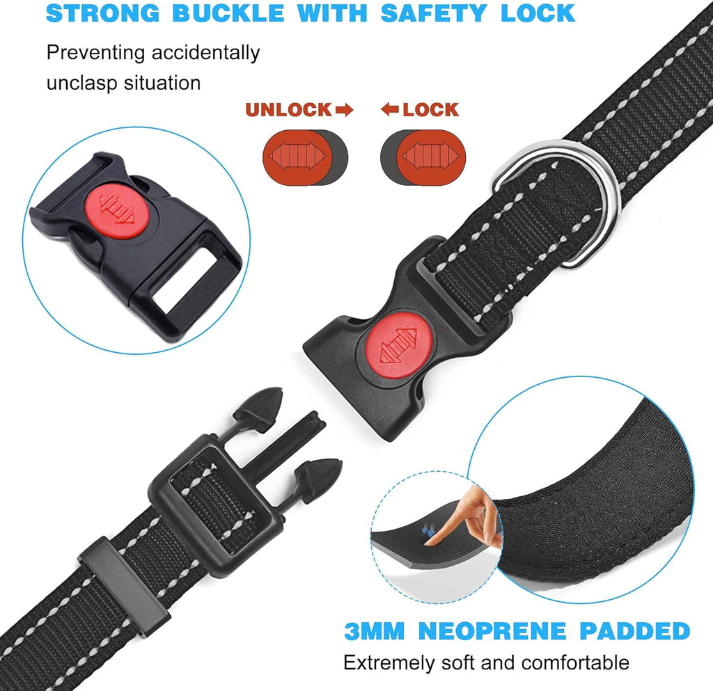 haapaw Reflective Dog Collar with Neoprene Padding
