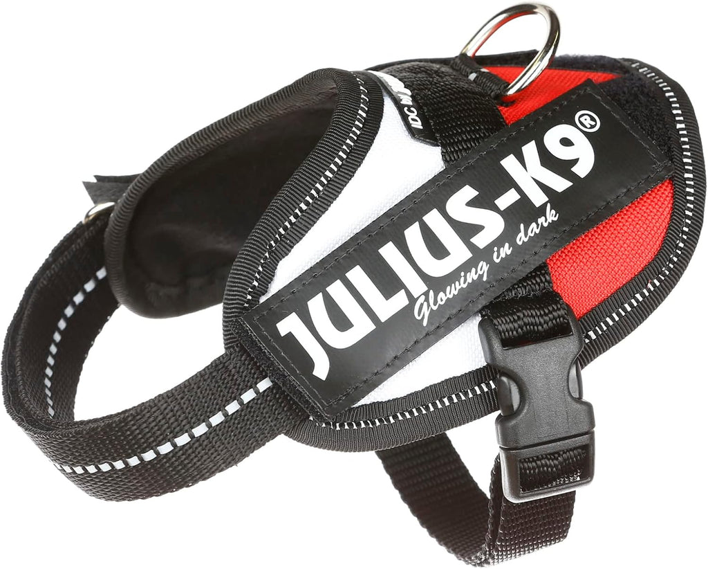 Julius-K9 IDC Powerharness for Small Dogs