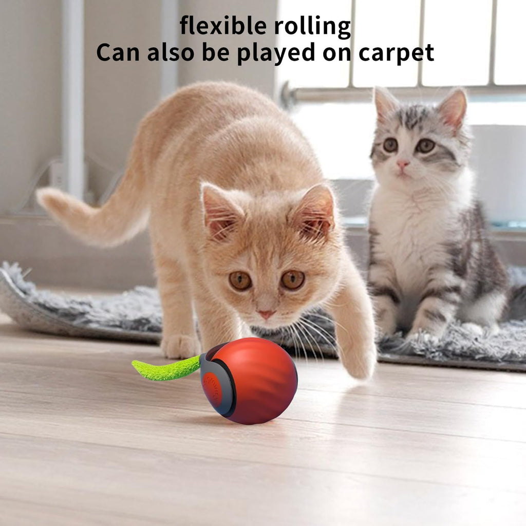 Gesmay Speedy Tail Rechargeable Cat Toy
