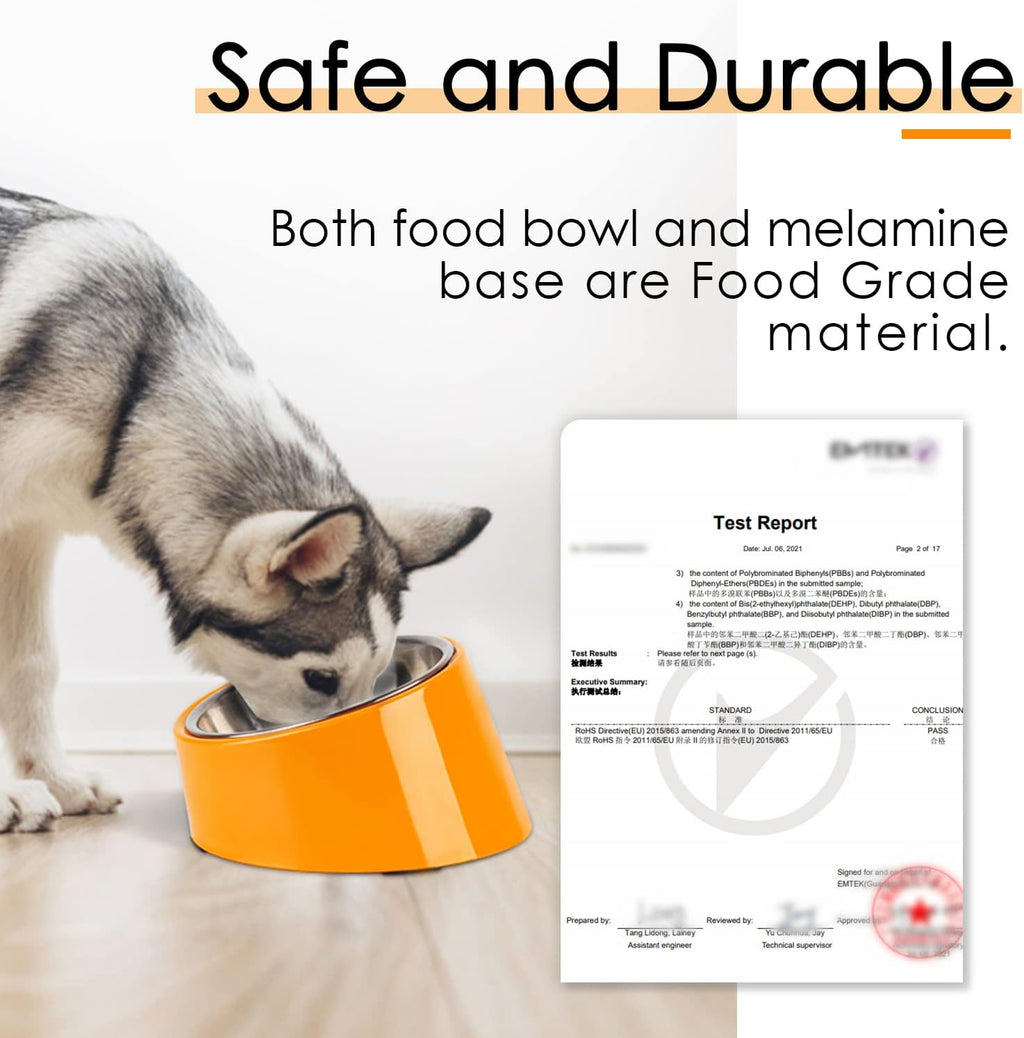 SuperDesign Slanted Stainless-Steel Pet Bowl