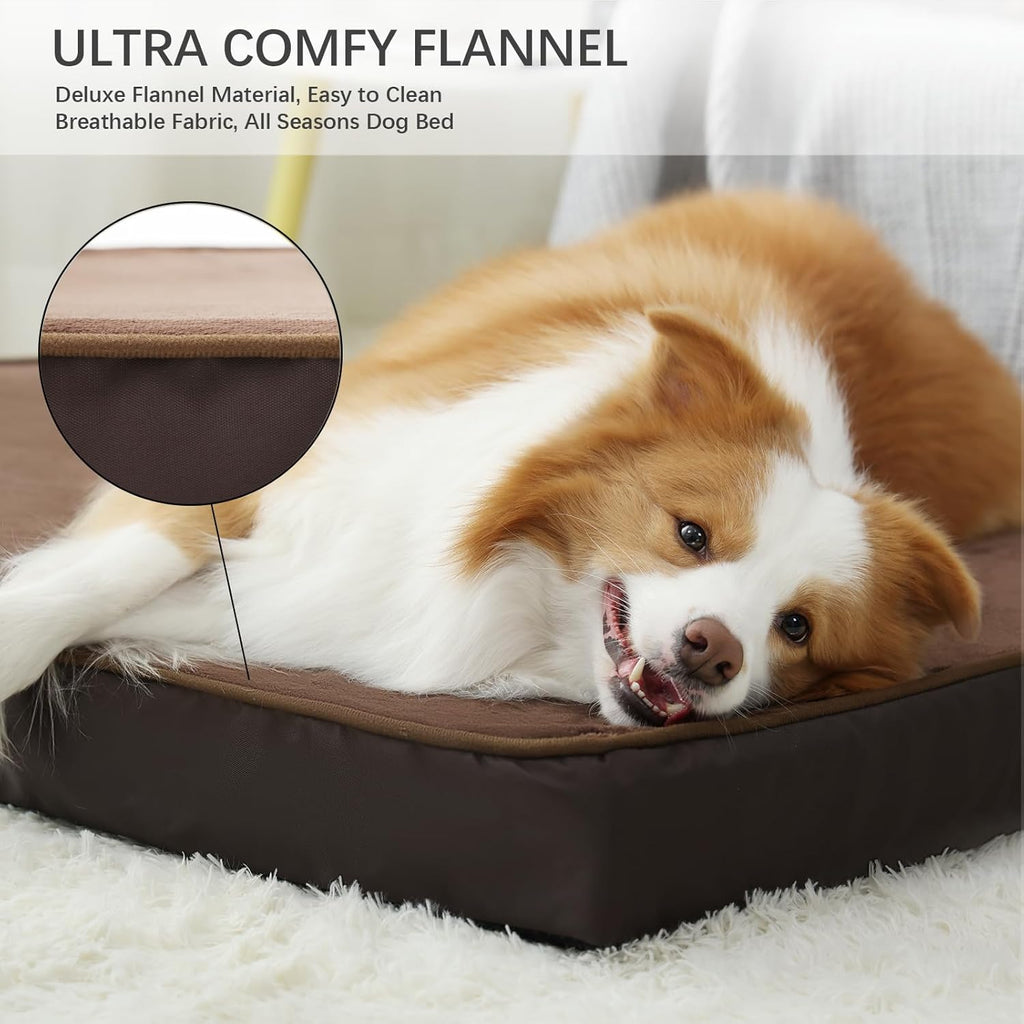 Jaspuriea Foam Dog Bed with Removable Cover