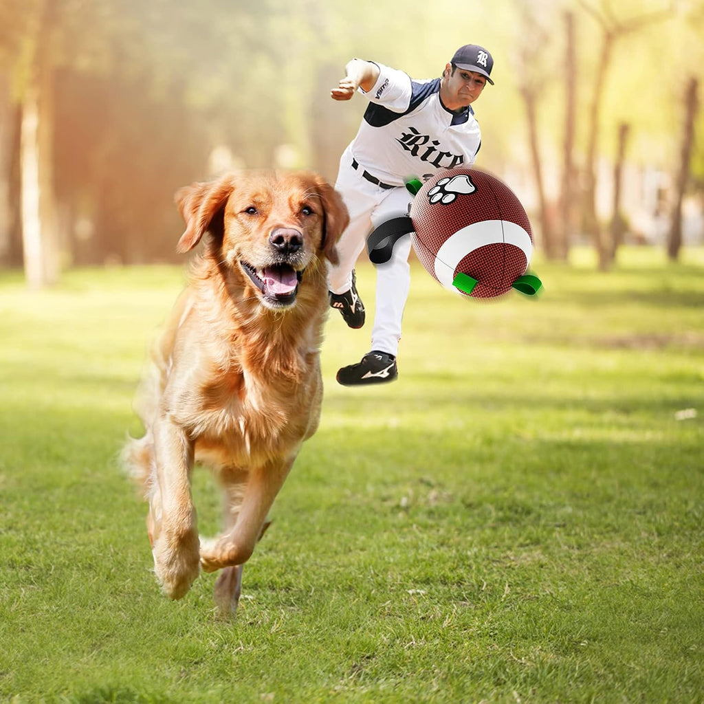 HETOO Dog Football with Grab Tabs