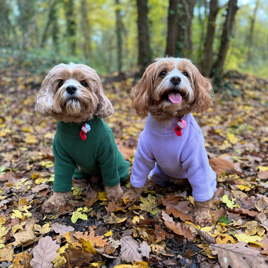 Four-Legged Fleece Dog Suit