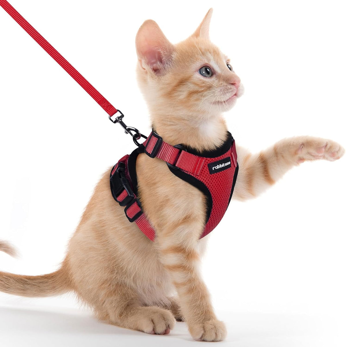 rabbitgoo Adjustable Cat Harness and Lead Set