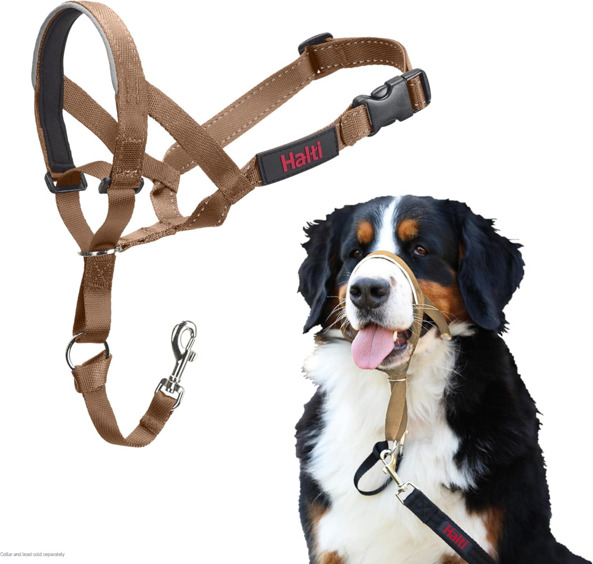 HALTI Adjustable Dog Headcollar