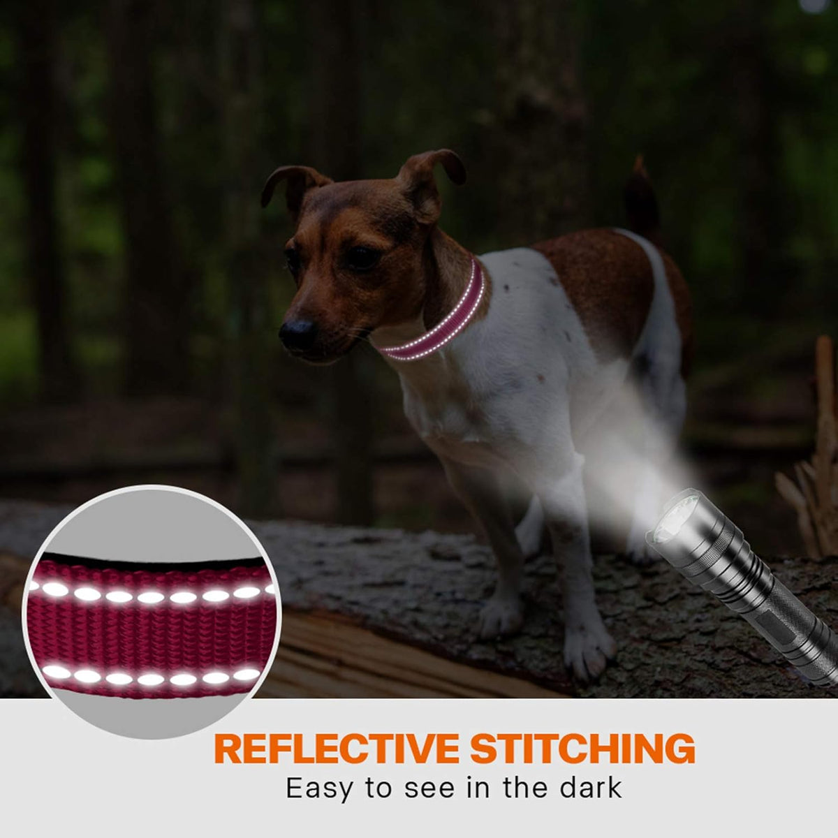Taglory Reflective Nylon Dog Collar