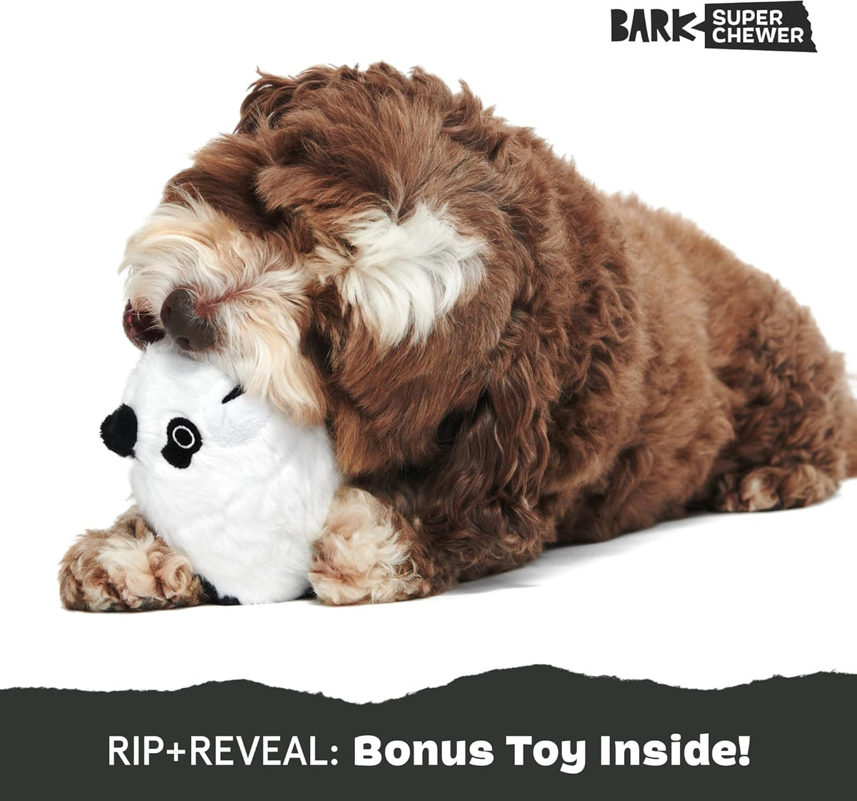 BarkBox Squeaky Plush Dog Toys