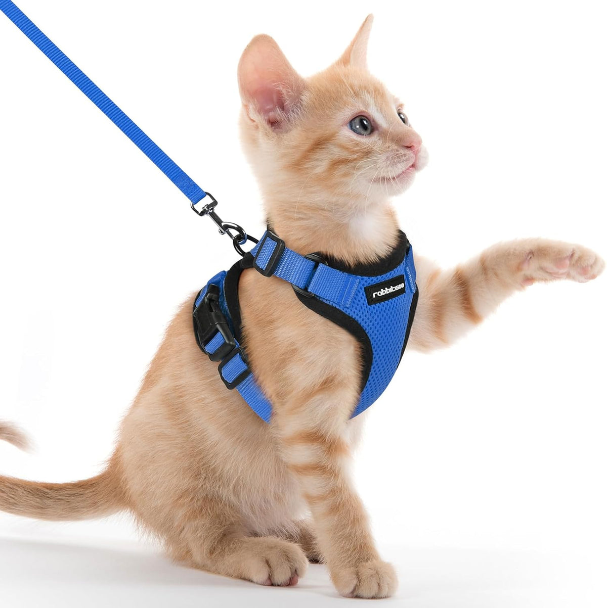 rabbitgoo Adjustable Cat Harness and Lead Set