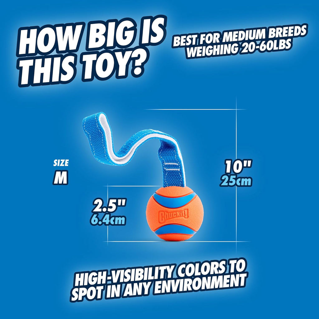 Chuckit! Ultra Tug Dog Toy