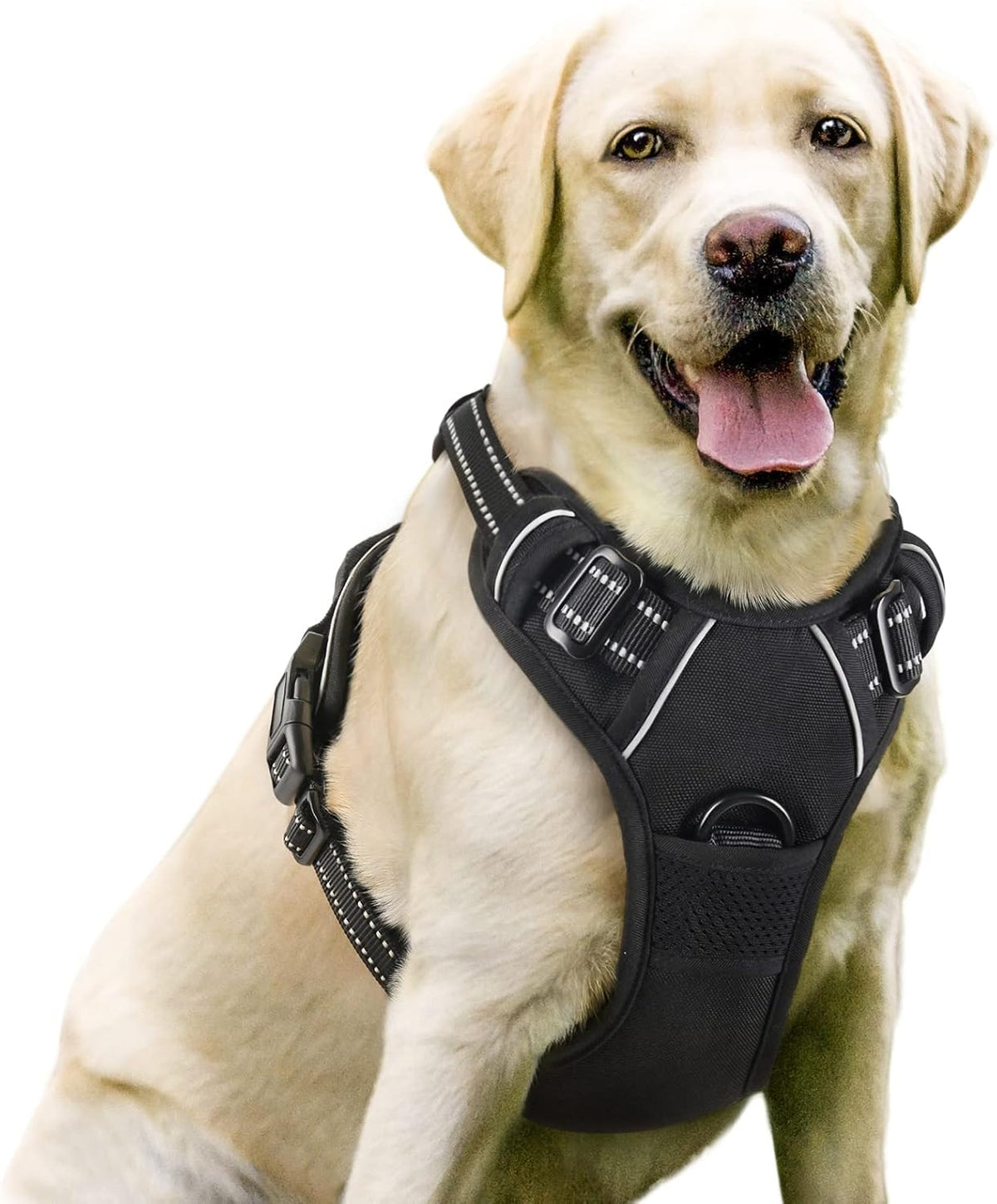 rabbitgoo Padded Dog Harness with Two Lead Clips