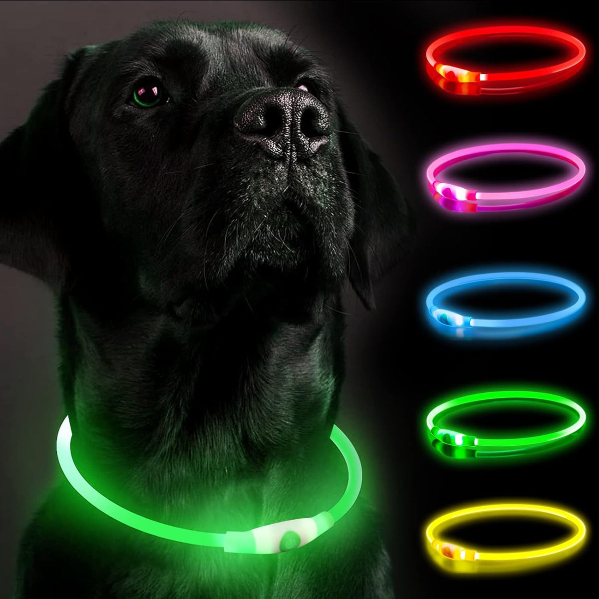 SerDa-Run Light-Up Dog Collar