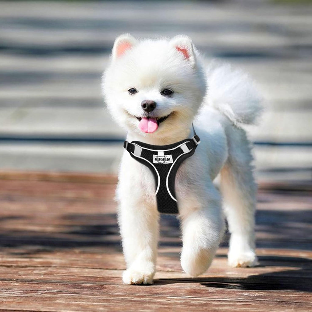 RAFIYU Mesh Dog Harness, Collar and Lead Set