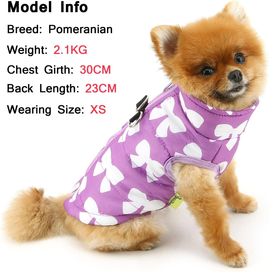 SMALLLEE_LUCKY_STORE Quilted Coat for Small Pets