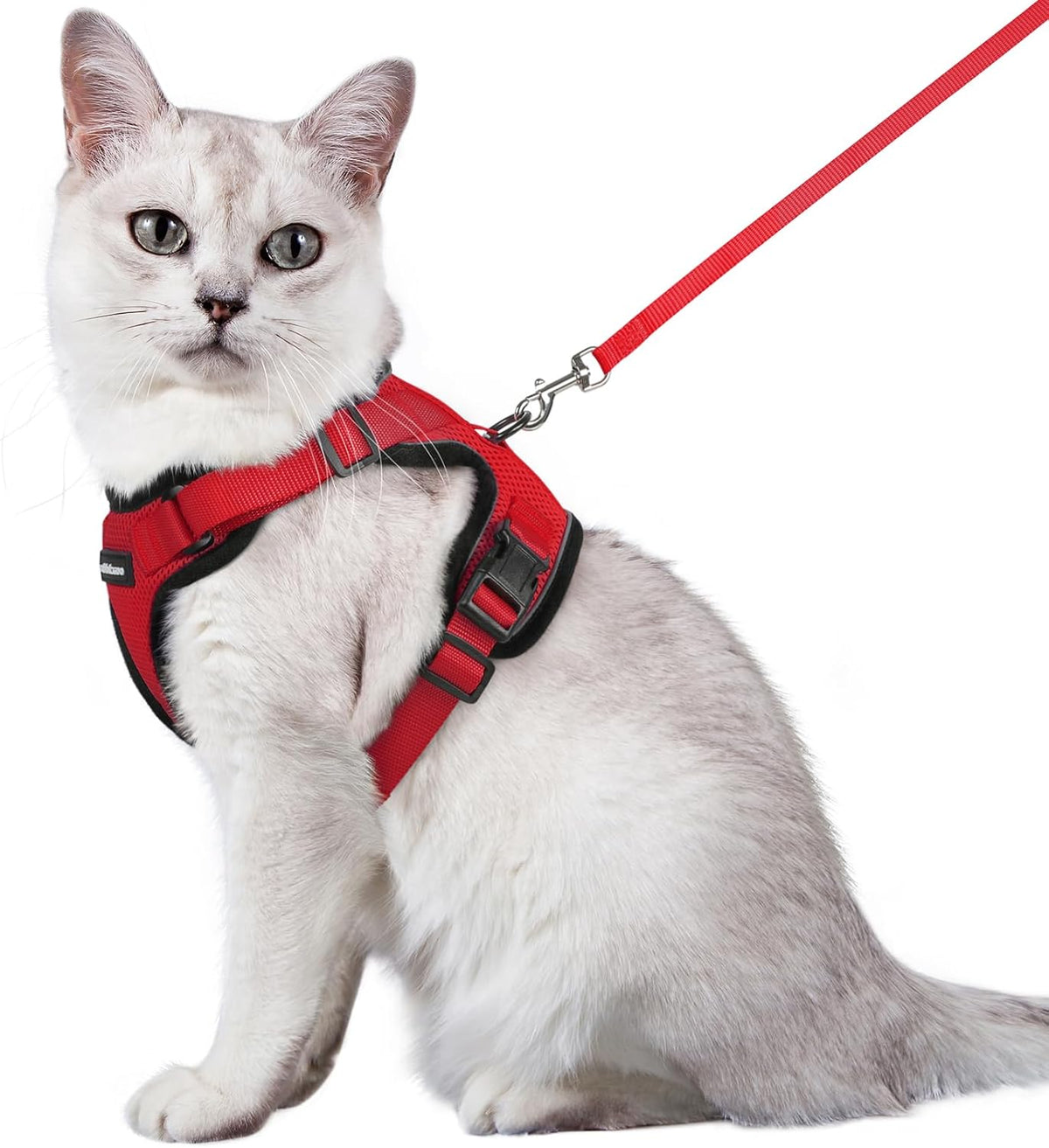 rabbitgoo Adjustable Cat Harness and Lead Set