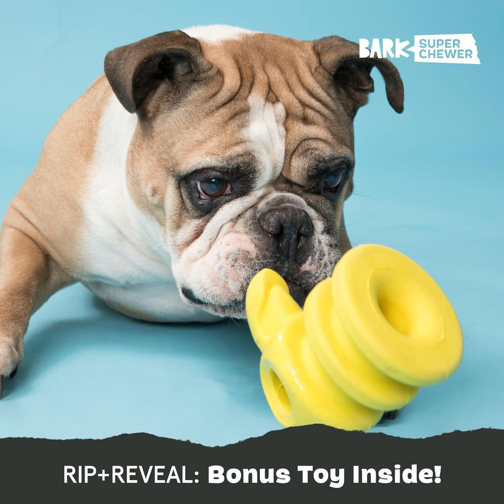 BarkBox Squeaky Plush Dog Toys