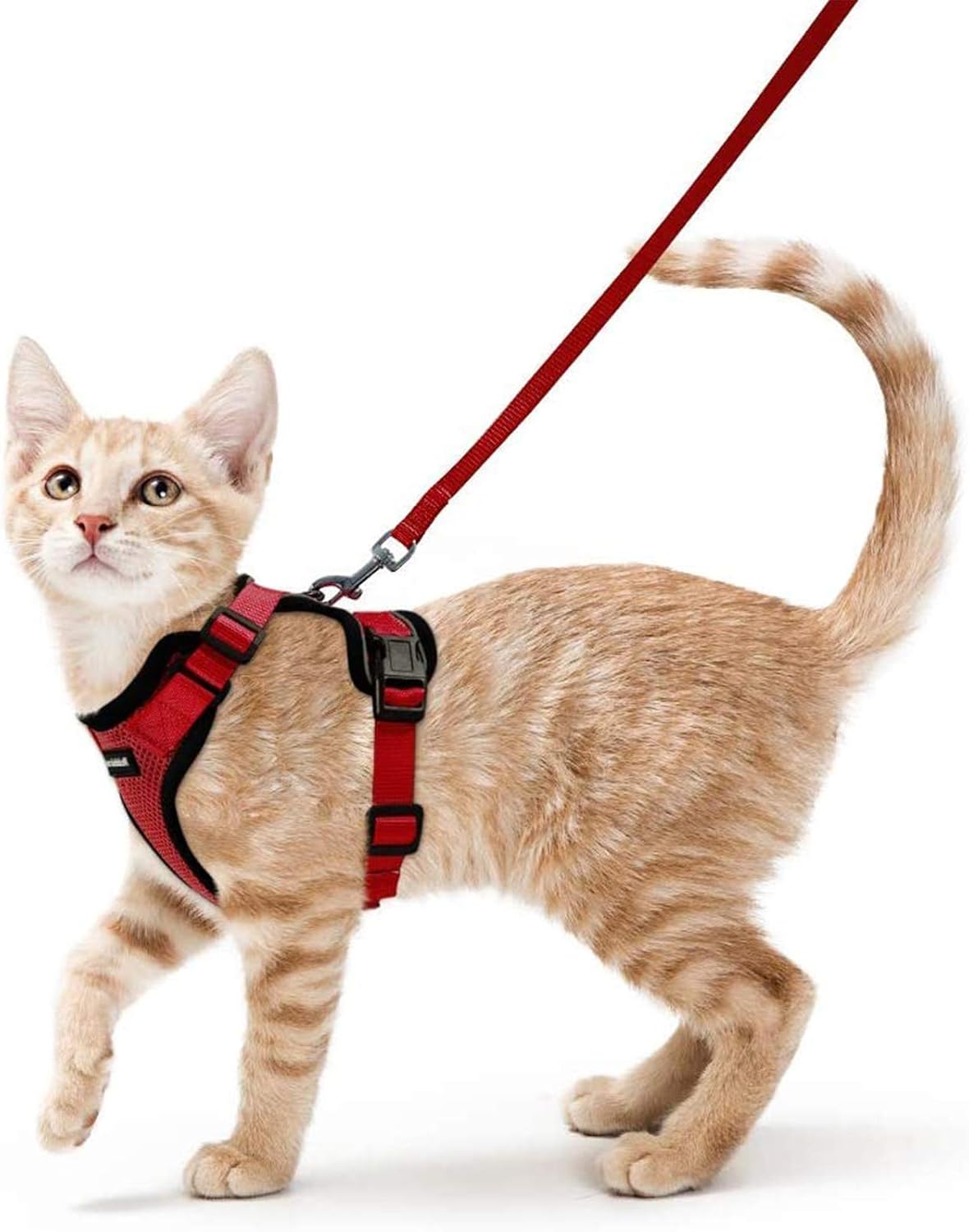 rabbitgoo Adjustable Cat Harness and Lead Set