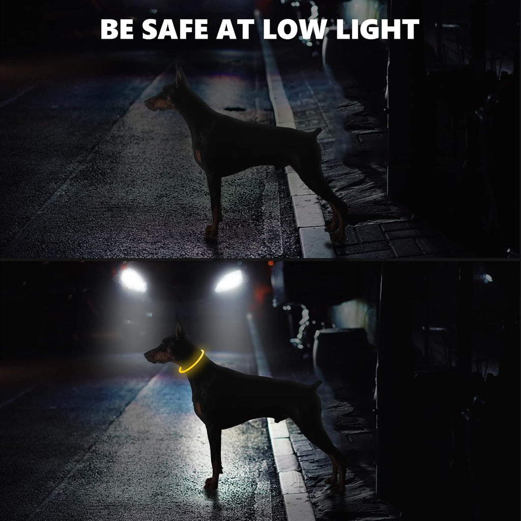 SerDa-Run Light-Up Dog Collar